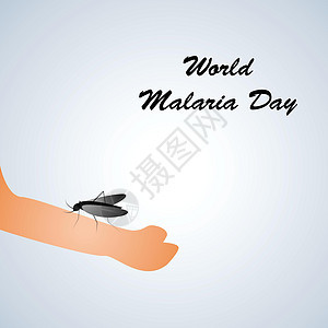 世界防治疟疾日背景健康医院感染网络寄生虫疟疾治愈发烧害虫生物学背景图片