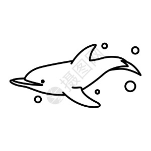海豚的线条艺术矢量插图荒野水族馆情调草图脚蹼乐趣绘画野生动物哺乳动物异国图片