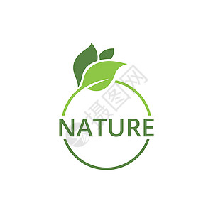 绿叶自然标志生态矢量图像热带插图叶子天空太阳美丽环境商业生活公司图片
