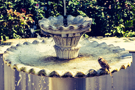 土耳其式土耳其奥托曼式古董饮用水喷泉灌水脚凳火鸡水龙头文化图片