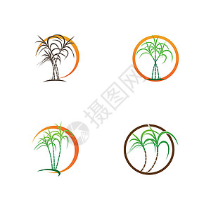 甘蔗标志和符号矢量图像贴纸收成标签种植园生物标识果汁植物学横幅生长图片