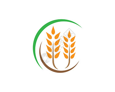 小麦矢量图标插画设计种子金子生长市场玉米饮食质量收成耳朵农业图片
