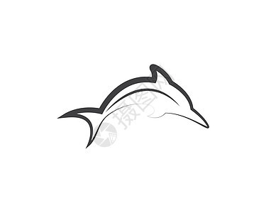 海豚矢量图标插画设计海洋冲浪热带海岸野生动物海洋生物飞跃脚蹼哺乳动物动物图片
