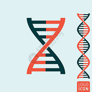 Dna 图标分离高分子插图药品剪贴染色体螺旋按钮顺序用户梯子图片