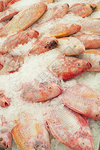 鱼类市场上的冰上新鲜鱼销售钓鱼厨房美食食品美味柜台食物镀金头烹饪图片