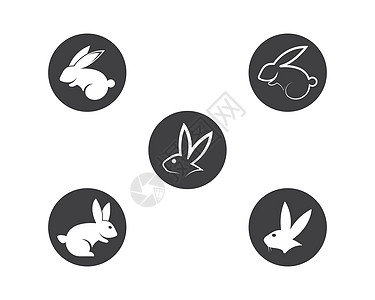 兔子矢量 ico黑色白色标识草图野生动物网络动物农场艺术插图图片