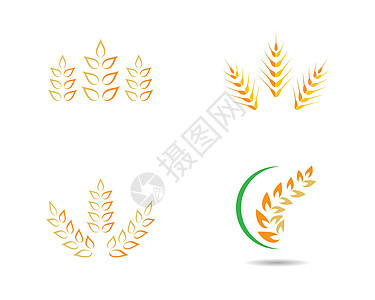 小麦符号矢量图标它制作图案农场市场种子植物收成饮食玉米粮食农业燕麦图片