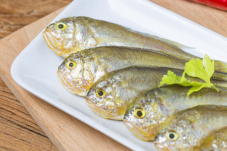 黄鳄鱼动物美味海鲜工作室美食游泳海洋生物饮食营养图片