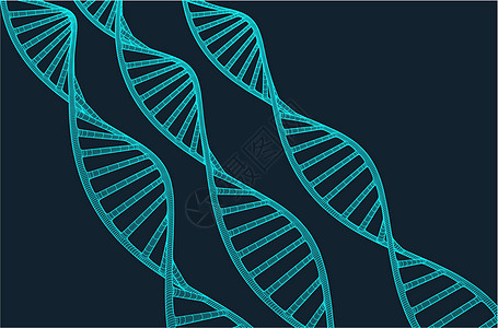 蓝色背景上带有多边形线的灰色 DNA 具有连接点和线的多边形空间低多边形 连接结构 矢量科学背景技术生物生活细胞金属插图原子网络图片