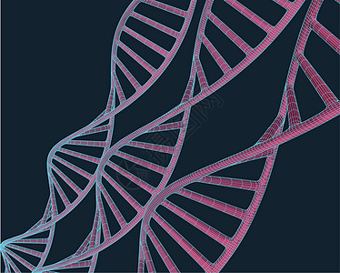 蓝色背景上带有多边形线的灰色 DNA 具有连接点和线的多边形空间低多边形 连接结构 矢量科学背景原子药品细胞网络化学生物金属技术图片