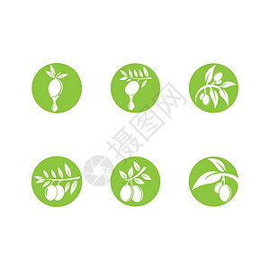 橄榄矢量 ico处女农场季节收成标识标签叶子农业插图生态图片