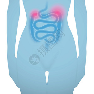 肠病的女人剪影解剖学营养素冒号伤害便秘养分器官身体蓝色疼痛图片