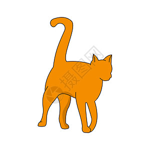 白色背景上有凸起尾巴的红猫设计图片
