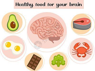 对大脑有益的健康食品 食物和维生素的概念 刺激 心理表现的改善 矢量图图片