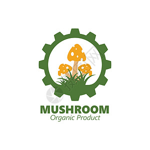 蘑菇农场矢量图图标设计农业收藏植物插图牡蛎卡通片菌类花园收成食物图片