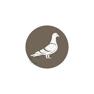 鸽子图标矢量图解设计模板商业公司翅膀金融标识服务卡通片插图野生动物艺术图片