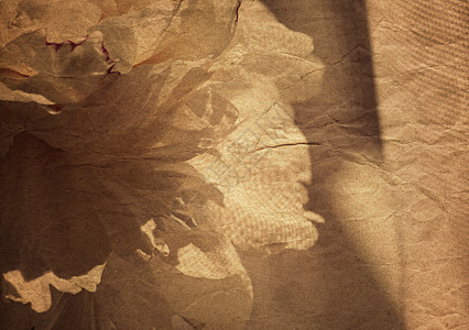 复古花卉背景与老化的纸张纹理覆盖花瓣海报过滤作品野花艺术照片牡丹花园阴影图片