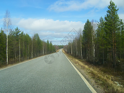 芬兰的道路沼泽森林针叶林业日志针叶树树木天线云杉松树图片