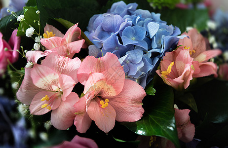 手绘蓝色绣球花各种花朵的节日花束花瓣花卉植物学植物群紫色绣球花图案植物季节叶子背景