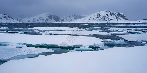挪威斯瓦尔巴北极 挪威斯瓦尔巴的漂浮冰雪山海岸海洋生态气候变化荒野冰山栖息地环境保护野生动物自然保护图片