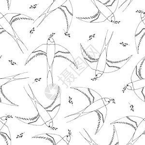 飞燕和树枝的无缝模式 卡通平面风格的插图图片