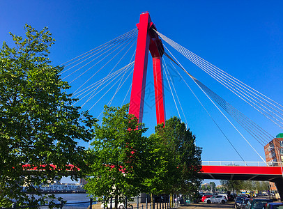 荷兰鹿特丹Nieuwe Maas河的Willemsbrug桥上的红金线和电缆图片