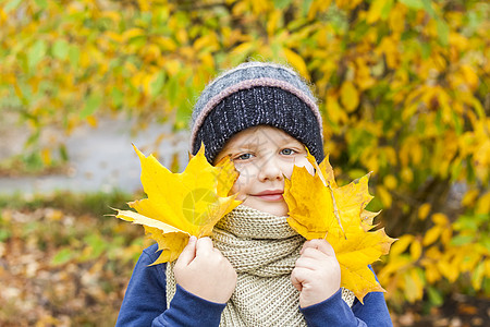 秋天的心情 一个男孩手里拿着黄色的枫叶 一个戴着针织帽子的孩子的秋天画像 视线 可爱的微笑男孩森林叶子乐趣公园男生童年橙子闲暇朋图片