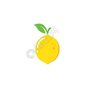 柠檬水果矢量图概念设计绿色产品果汁收藏标识食物热带插图橙子图片
