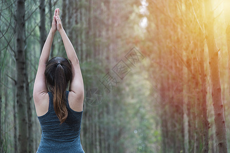 美丽的年轻女子放松常健健健锻练瑜伽运动树木日志公园女士赛跑者悬崖姿势慢跑者女孩图片