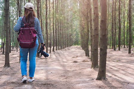 女性的生活方式使用照相机摄影摄影师旅行拍摄相片照片女士爱好假期女孩远足者丛林享受公园远足旅游图片