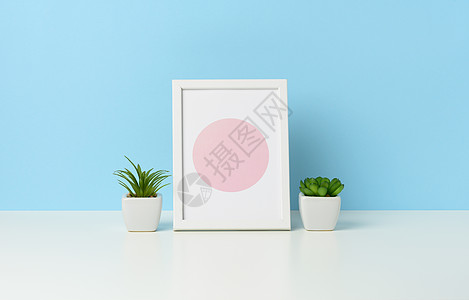 白桌上有植物的空白木相片框和花盆生长装饰桌子风格叶子房间蓝色芦荟办公室制品图片