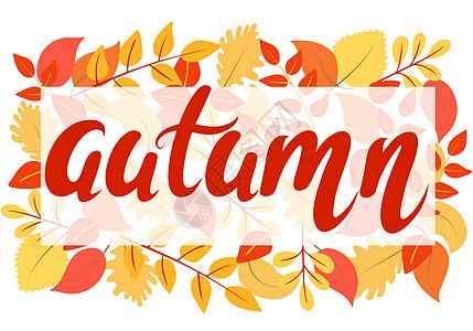 明亮的秋天背景与叶子和手刻字矢量它制作图案图片
