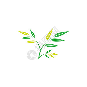 叶标志模板矢量符号自然生长植物生态插图环境叶子装饰品生物绿色背景图片