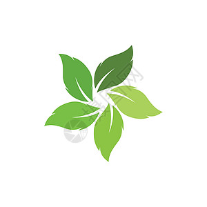 绿色树叶生态自然元素的标志企业生物推广环境商业公司生长品牌平衡艺术背景图片