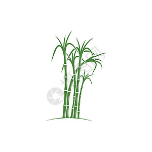 甘蔗 Logo 模板矢量符号食物横幅标签贴纸插图生物产品植物棕榈收成图片