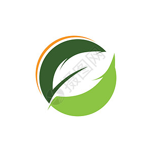 绿色树叶生态自然元素的标志品牌企业商业平衡环境生物艺术推广公司回收背景图片