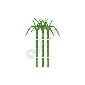 甘蔗 Logo 模板矢量符号横幅产品贴纸标签棕榈叶子生物果汁收成颗粒状图片