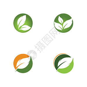 绿色树叶生态自然元素的标志推广品牌商业环境生长企业艺术回收平衡公司背景图片