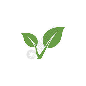 叶标志模板矢量符号生长装饰品植物插图环境绿色叶子生态生物背景图片