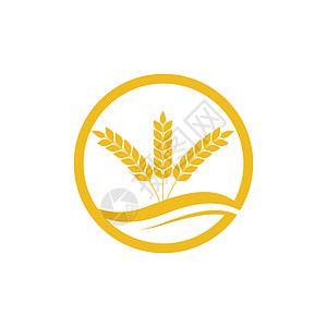 农业小麦模板矢量图标设计标识食物粮食农场植物燕麦营养健康横幅生长图片