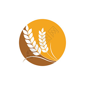 农业小麦模板矢量图标设计金子标识饮食粮食面包健康燕麦标签生长横幅背景图片