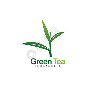 基于白色背景矢量图像的绿茶叶标志矢量图标插画设计标签早餐生活生态艺术化妆品食物饮料植物叶子图片