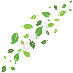 飞叶标志矢量白色绿色叶子生态植物季节环境墙纸草本树叶图片