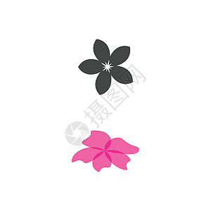 美女图标花设计它制作图案花瓣热带植物群网络茉莉花疗法身体芳香温泉异国图片
