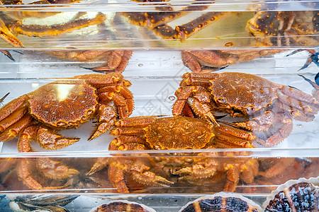 北海道函馆海鲜市场的红帝王蟹 Taraba 蟹 或阿拉斯加帝王蟹食物海洋生物居住贸易旅行销售餐厅美食商业图片