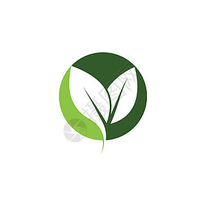绿色树叶生态自然元素的标志生长商业艺术推广环境品牌生物平衡公司回收背景图片