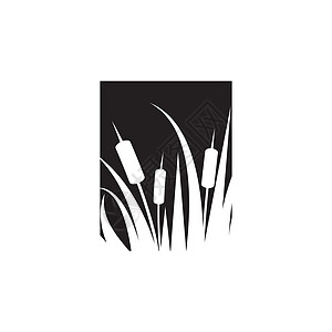 芦苇图标矢量设计模板叶子香蒲植物学沼泽生长黑色插图甘蔗植物植物群图片
