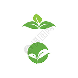 叶标志模板矢量符号植物叶子绿色装饰品环境生态插图生长生物背景图片