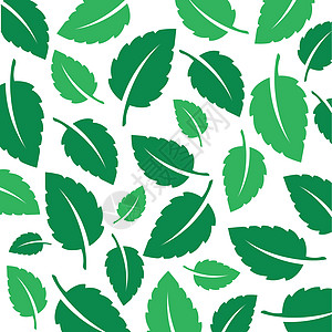 薄荷鲜叶矢量背景草本草本植物芳香植物插图生态叶子绿色黑色标识图片