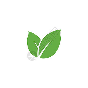 叶标志模板矢量符号叶子插图生长绿色植物装饰品环境生态生物背景图片